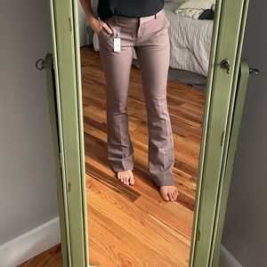 NWT Express Barely Boot Midrise Pants Sz 2R